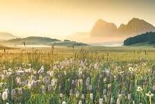 九游电脑版下载游戏-九游电脑版，游戏爱好者的优选下载平台